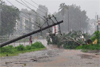 Kadaba: Tree and power pole uprooted in heavy rainstorm